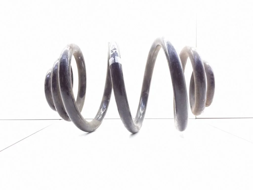 Rear coil spring