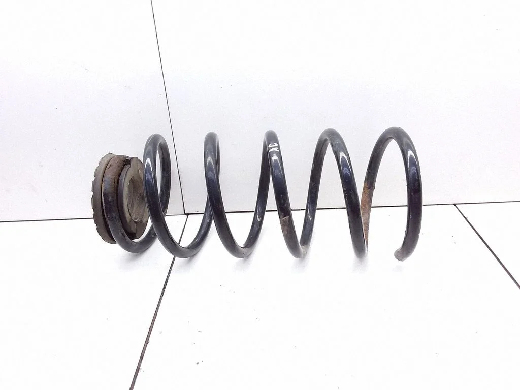 Rear coil spring