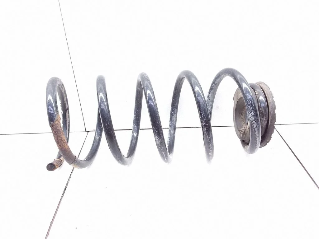 Rear coil spring