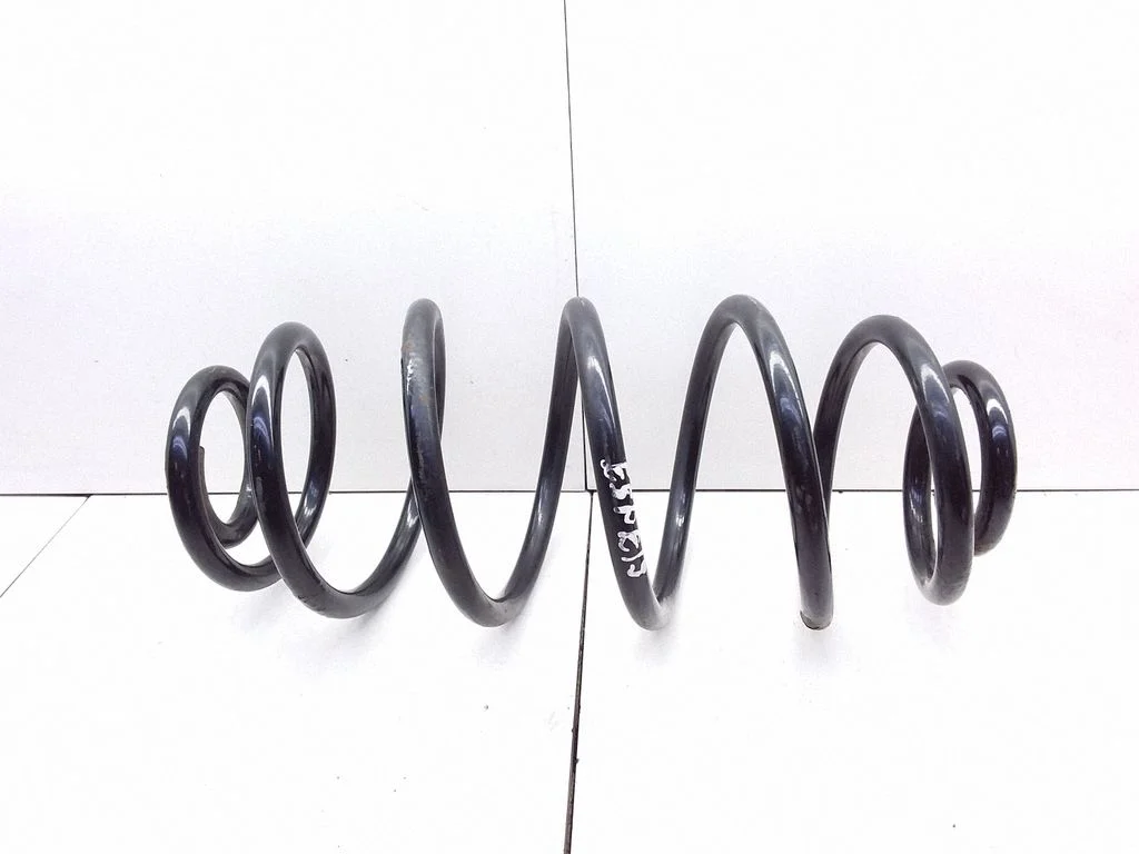 Rear coil spring
