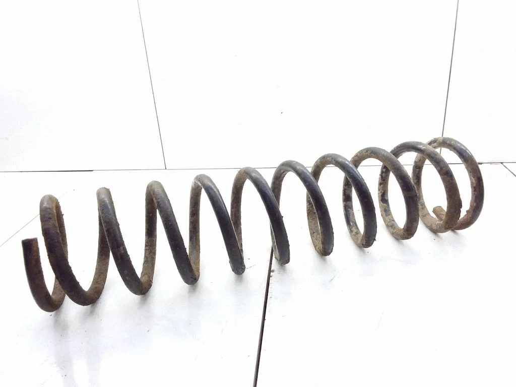 Rear coil spring