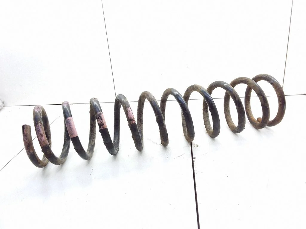 Rear coil spring