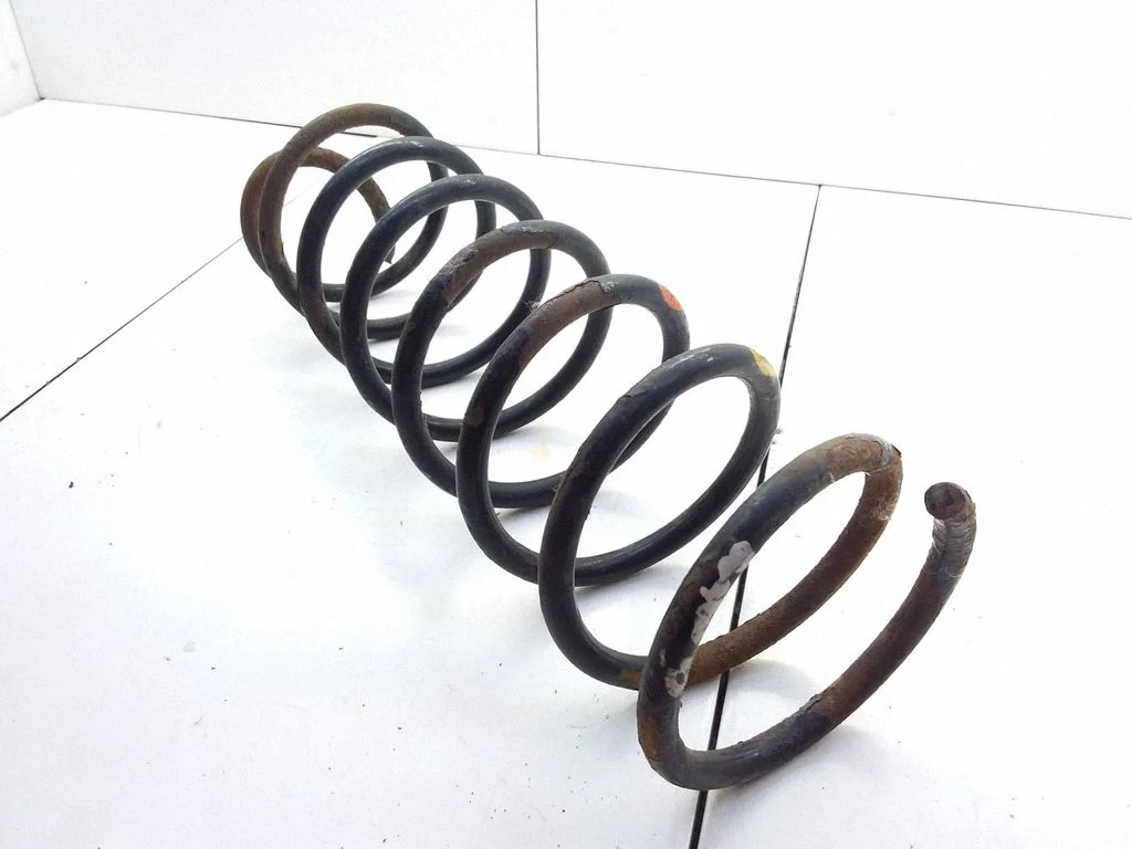 Rear coil spring