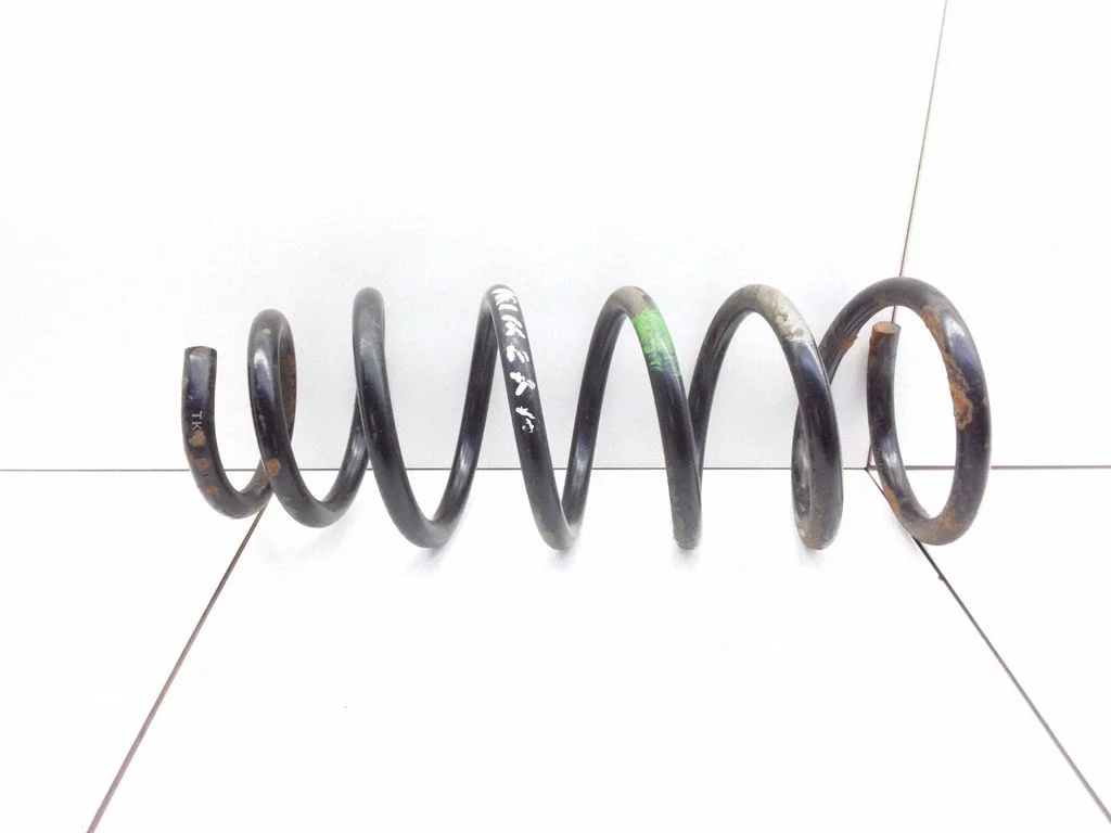 Rear coil spring