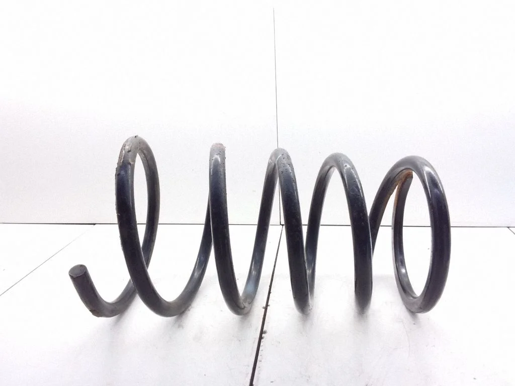 Rear coil spring