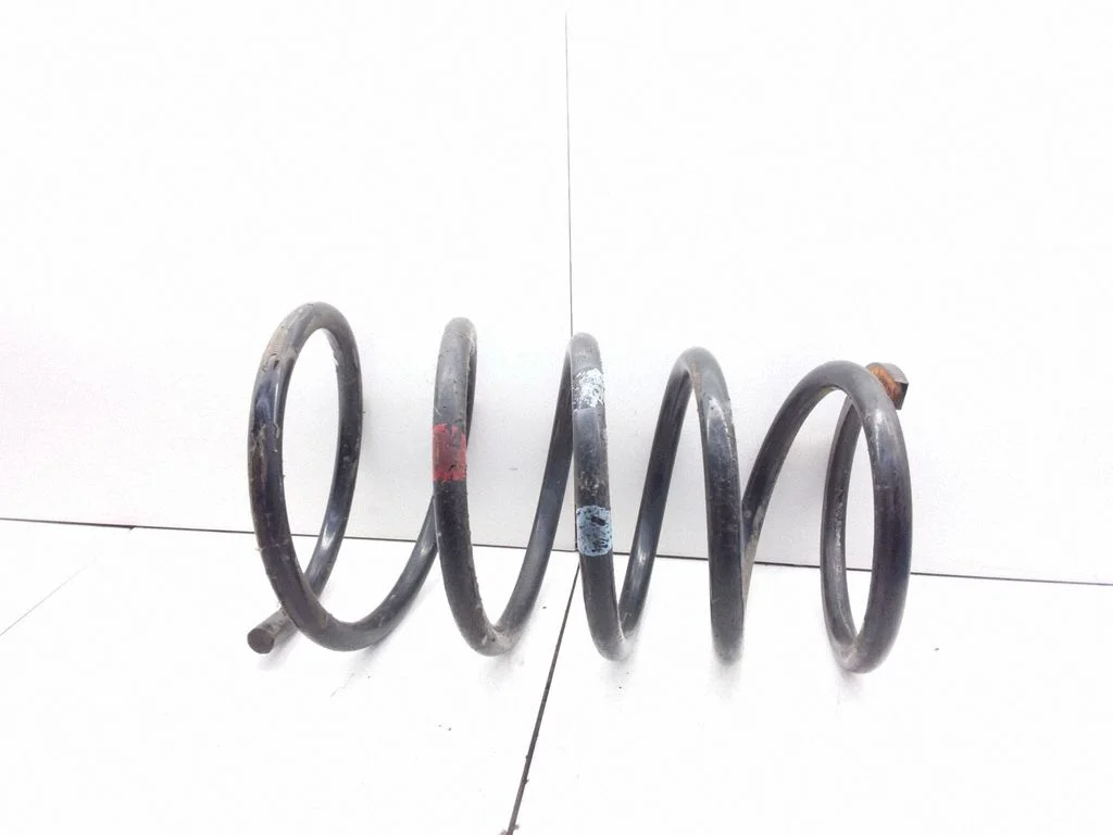 Rear coil spring
