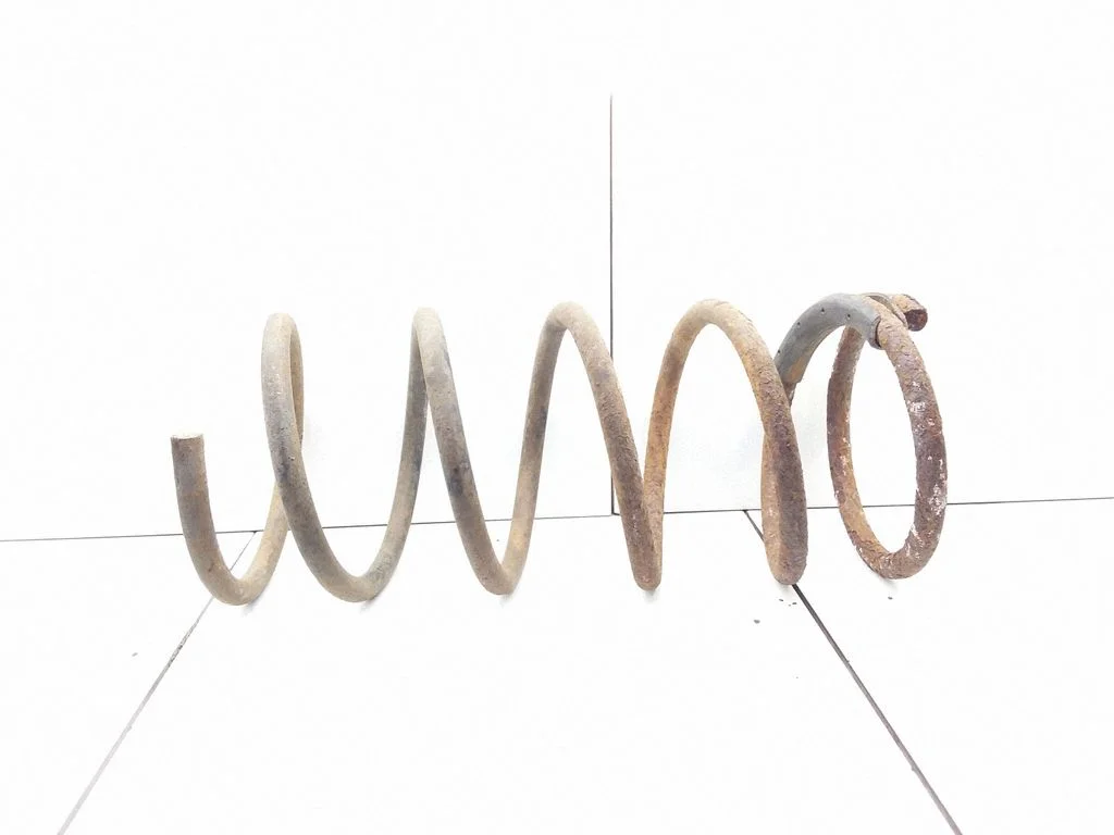 Rear coil spring
