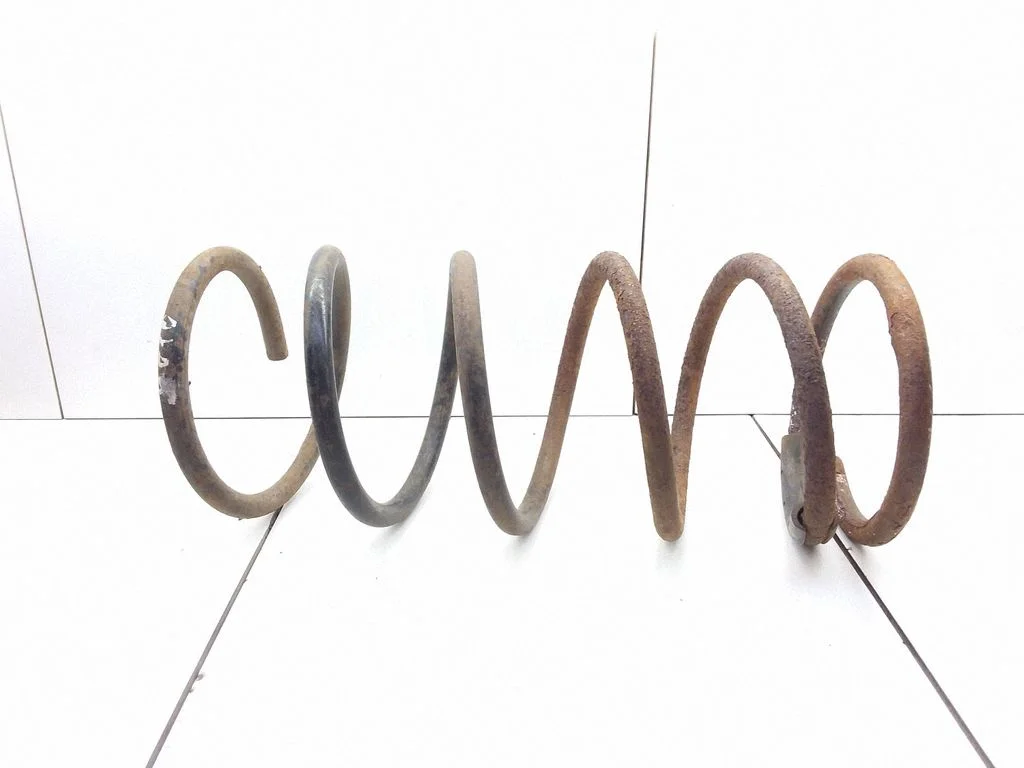 Rear coil spring