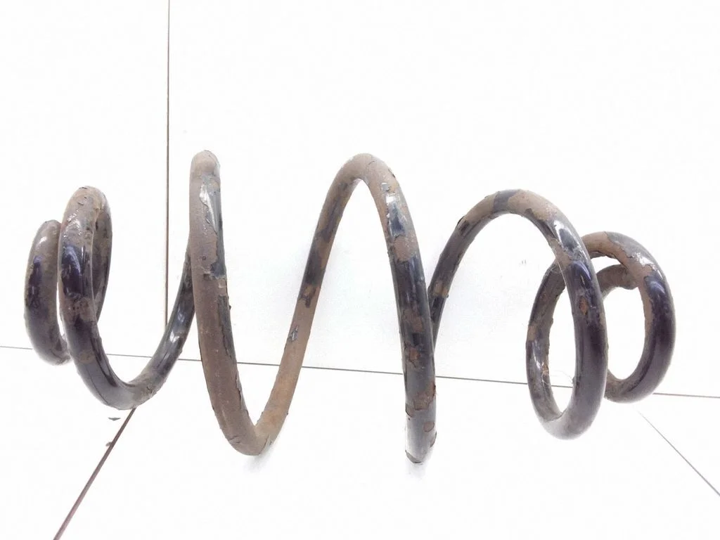Rear coil spring