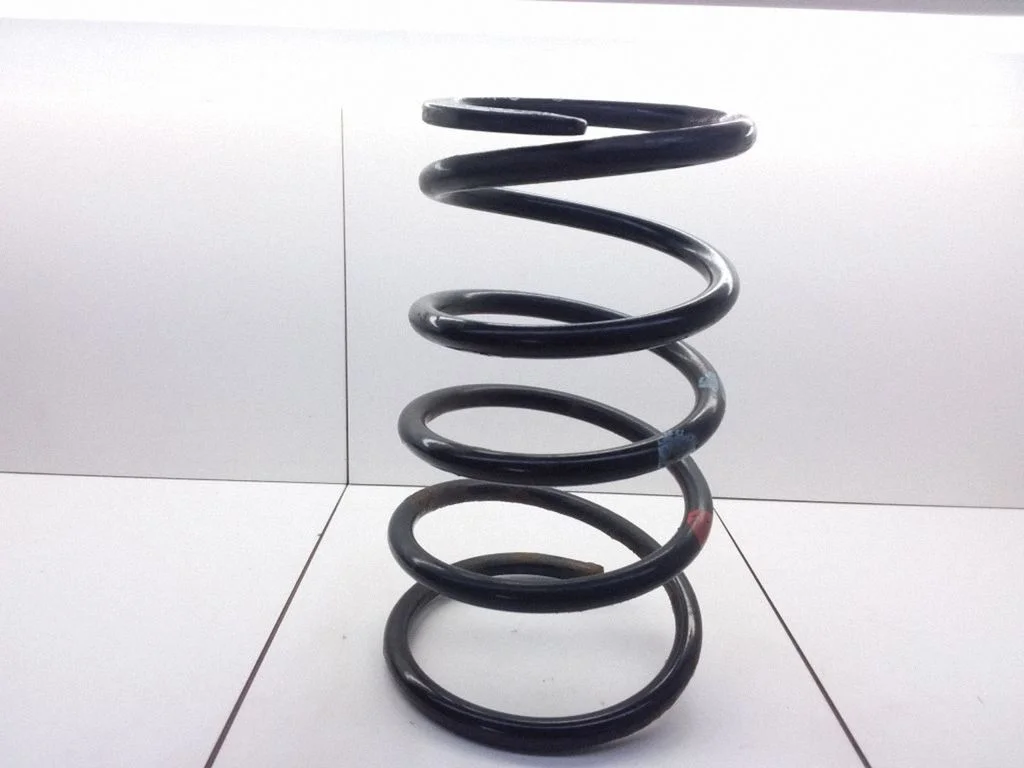 Rear coil spring