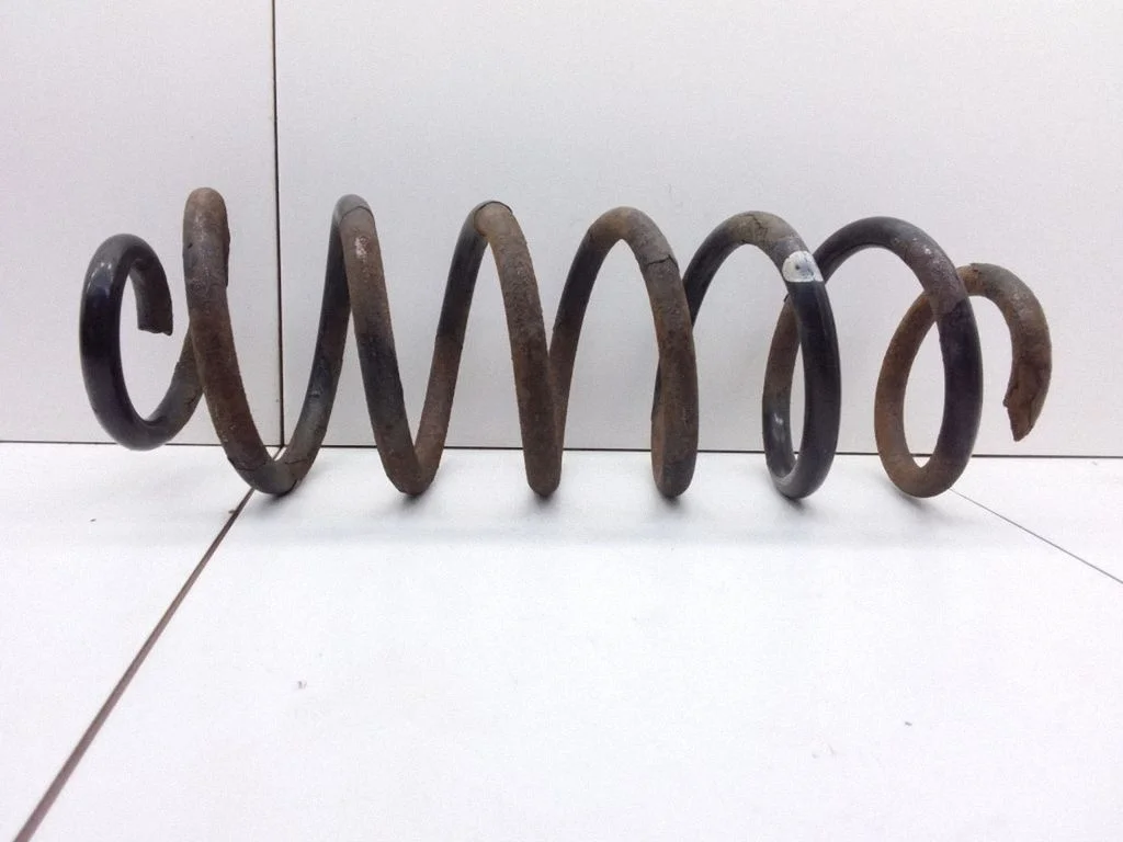 Rear coil spring