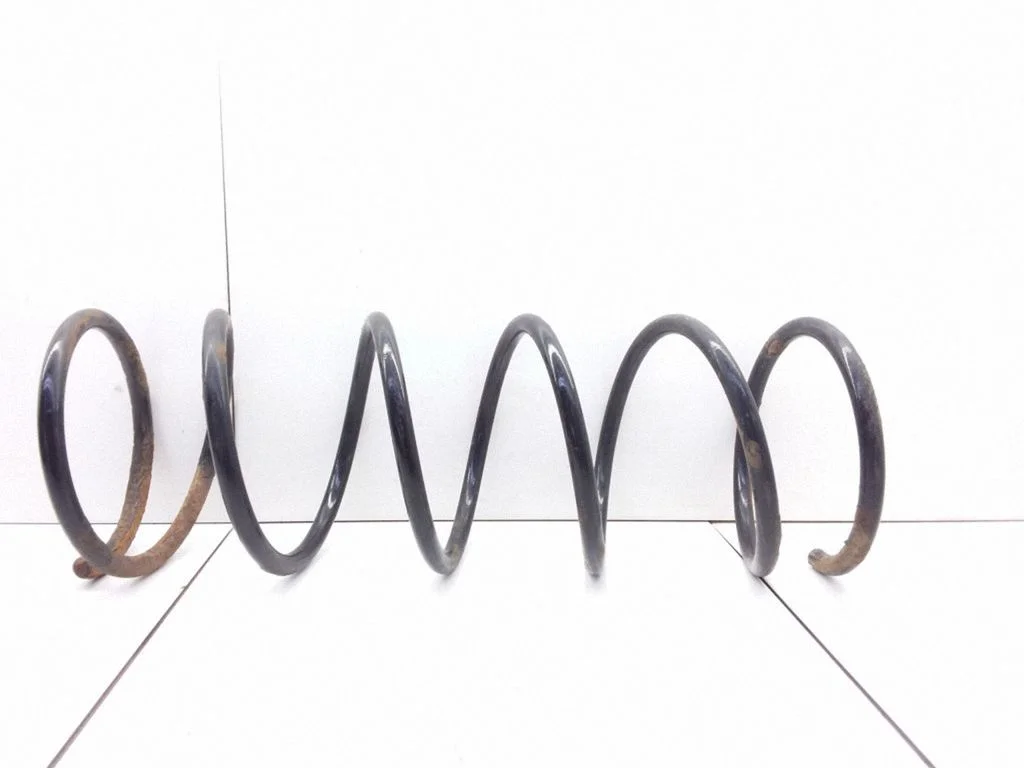 Rear coil spring