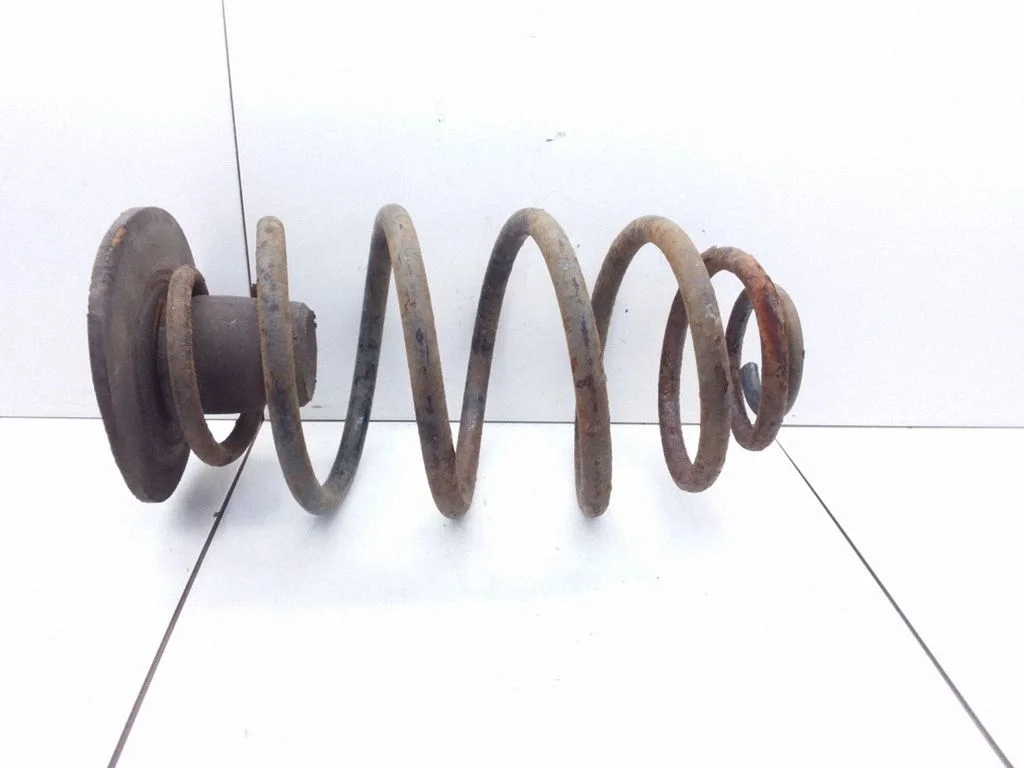 Rear coil spring