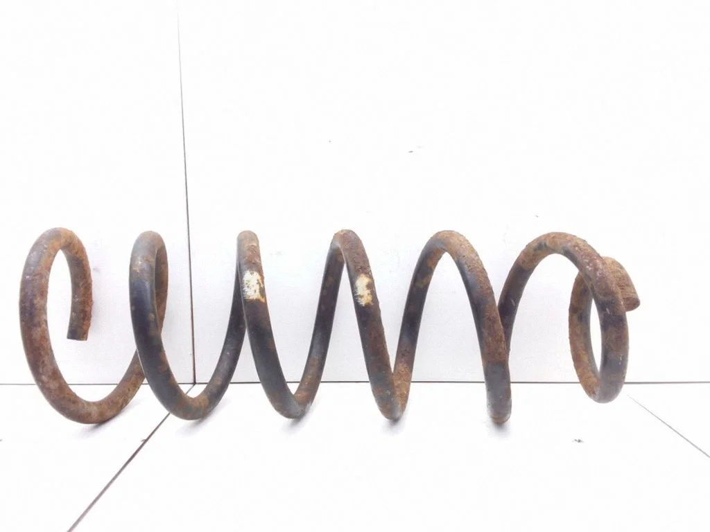 Rear coil spring