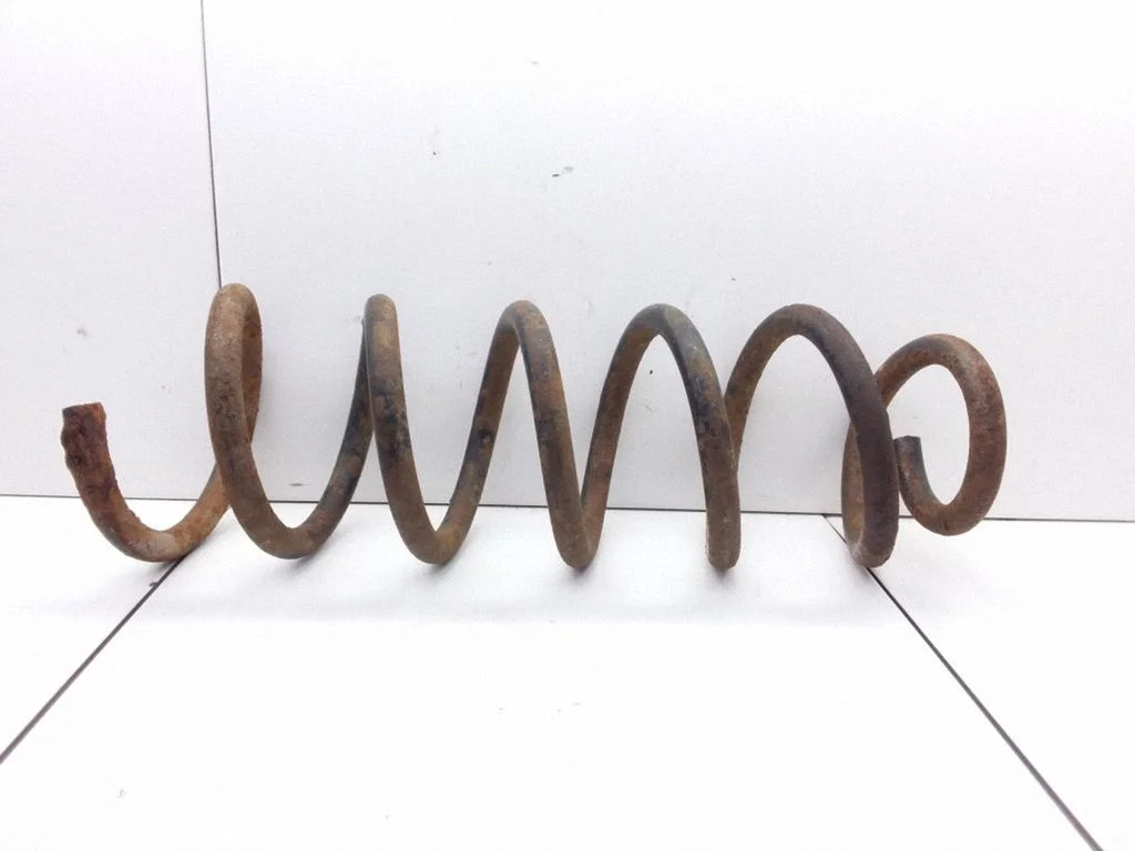 Rear coil spring