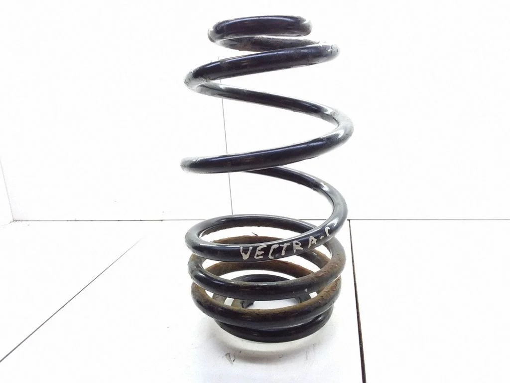 Rear coil spring