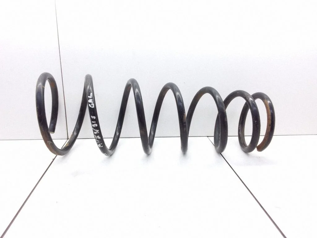 Rear coil spring