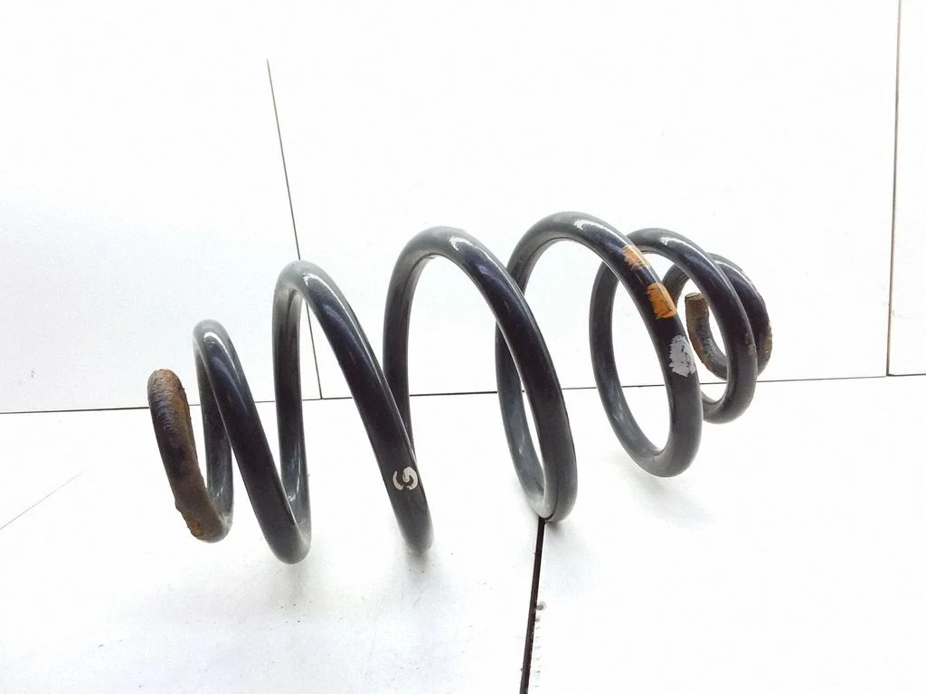 Rear coil spring