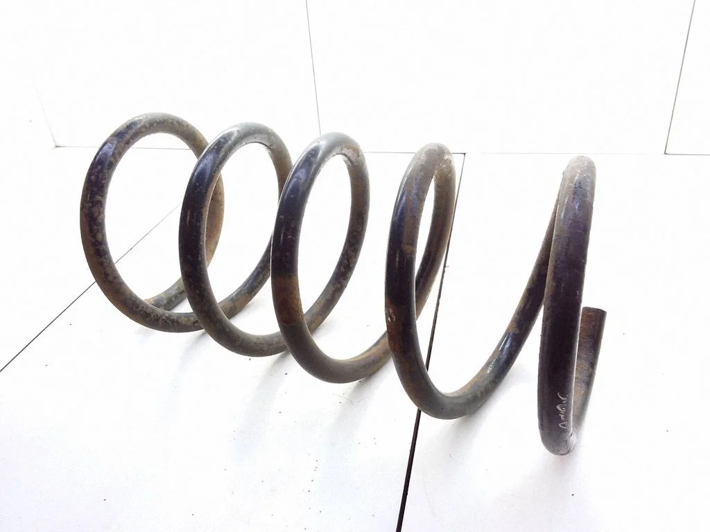 Rear coil spring