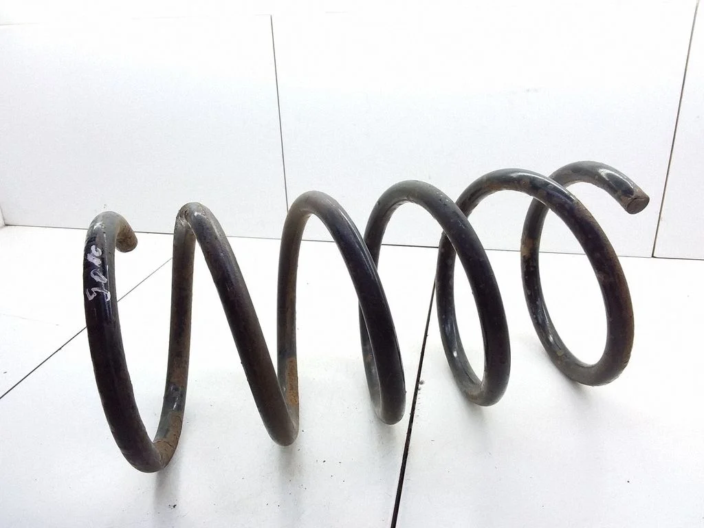 Rear coil spring