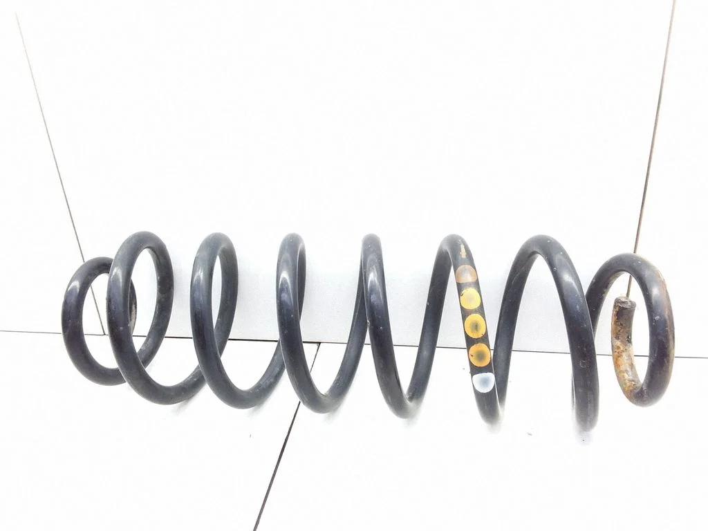 Rear coil spring