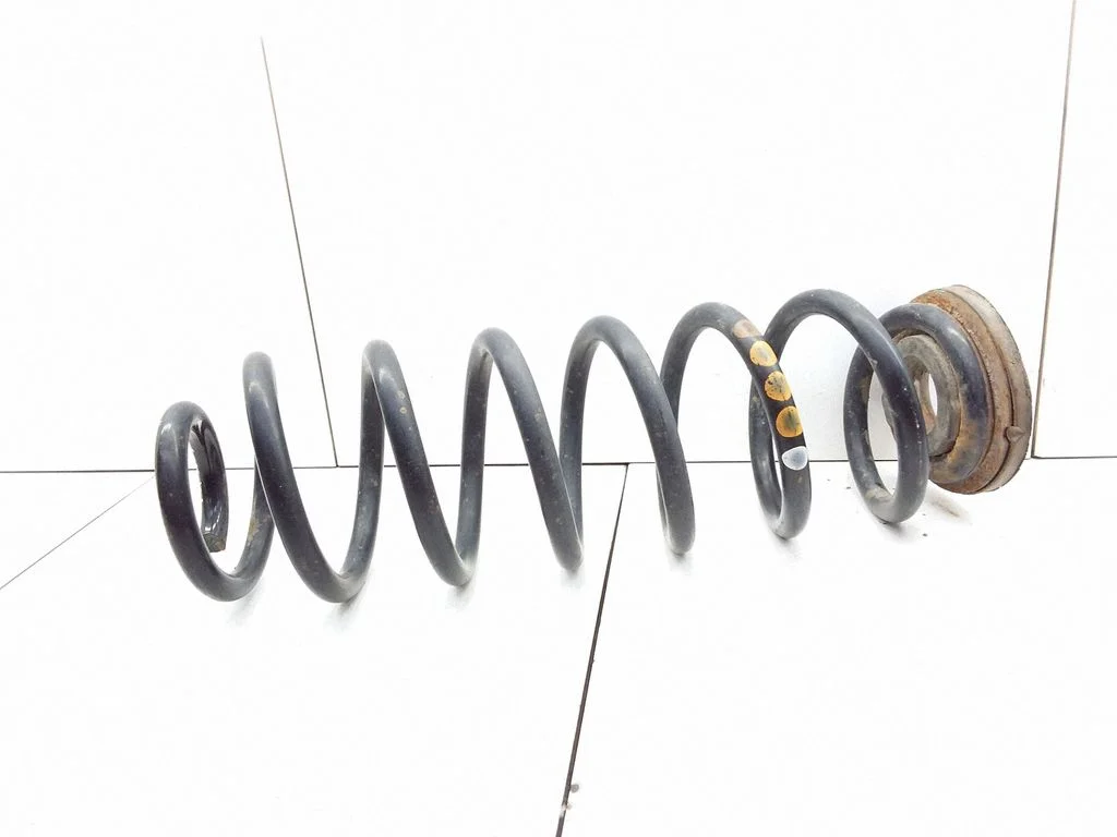 Rear coil spring