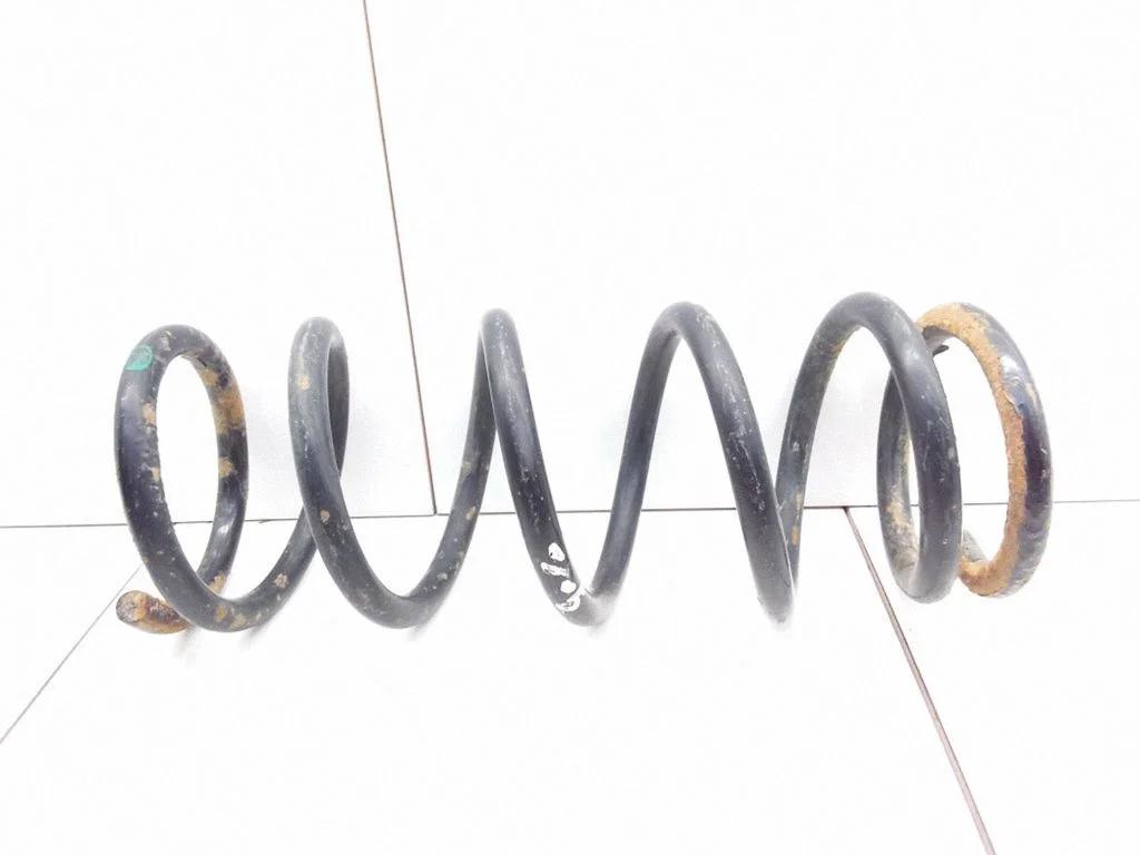 Rear coil spring