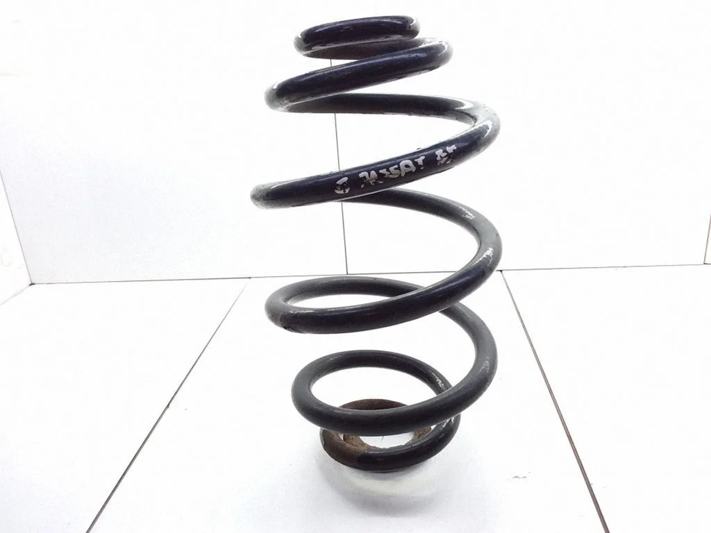 Rear coil spring