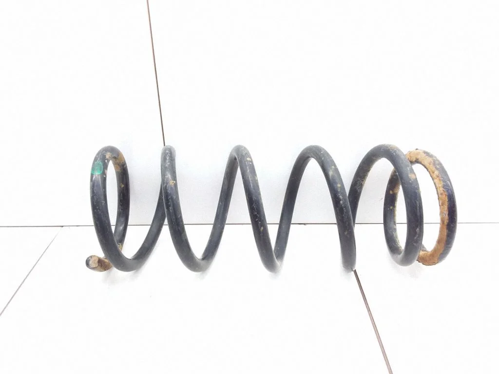 Rear coil spring