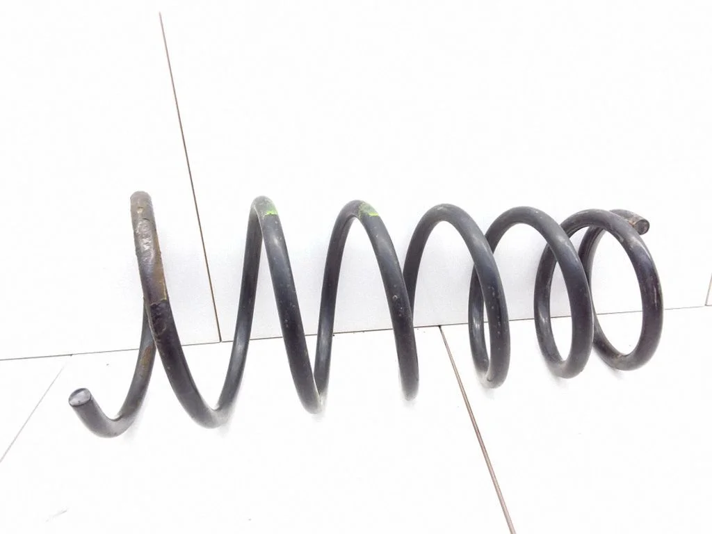 Rear coil spring