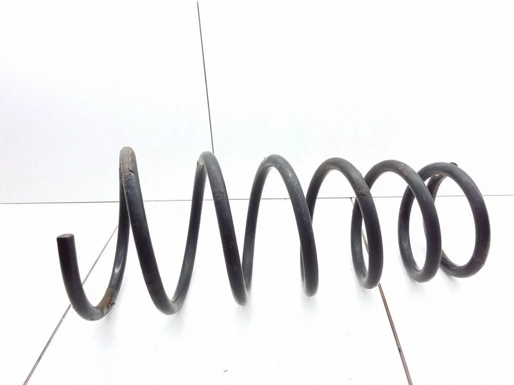 Rear coil spring