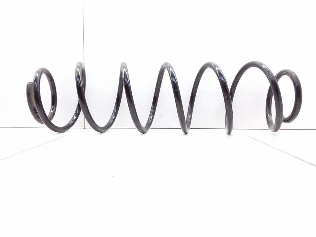 Rear coil spring