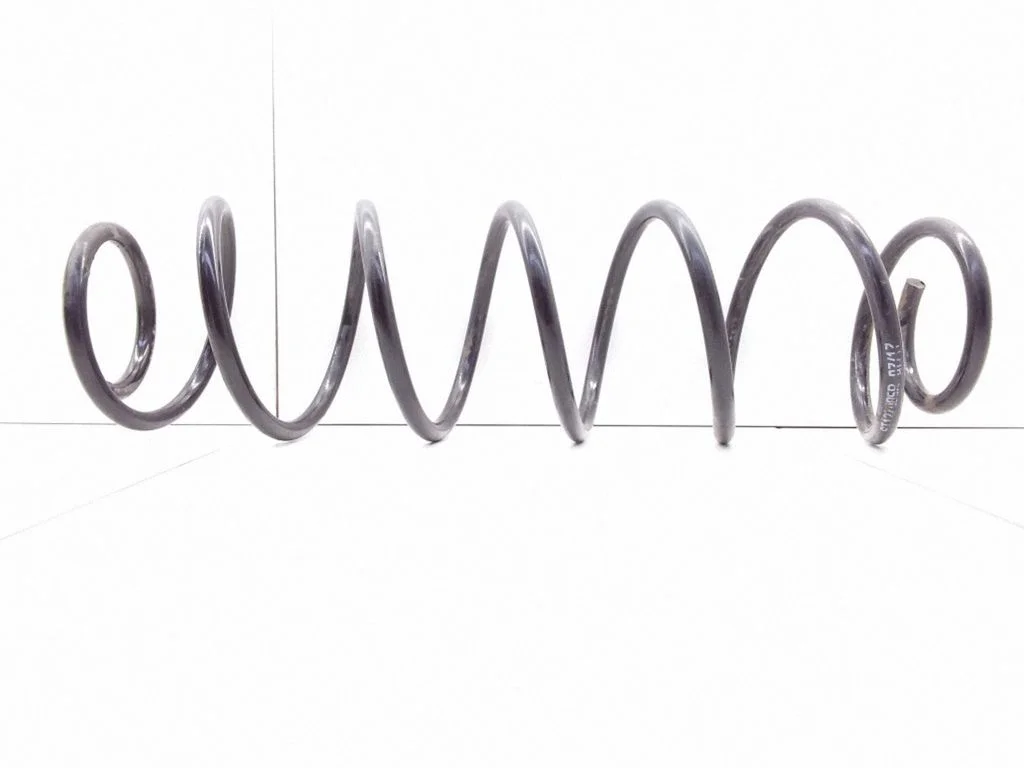 Rear coil spring