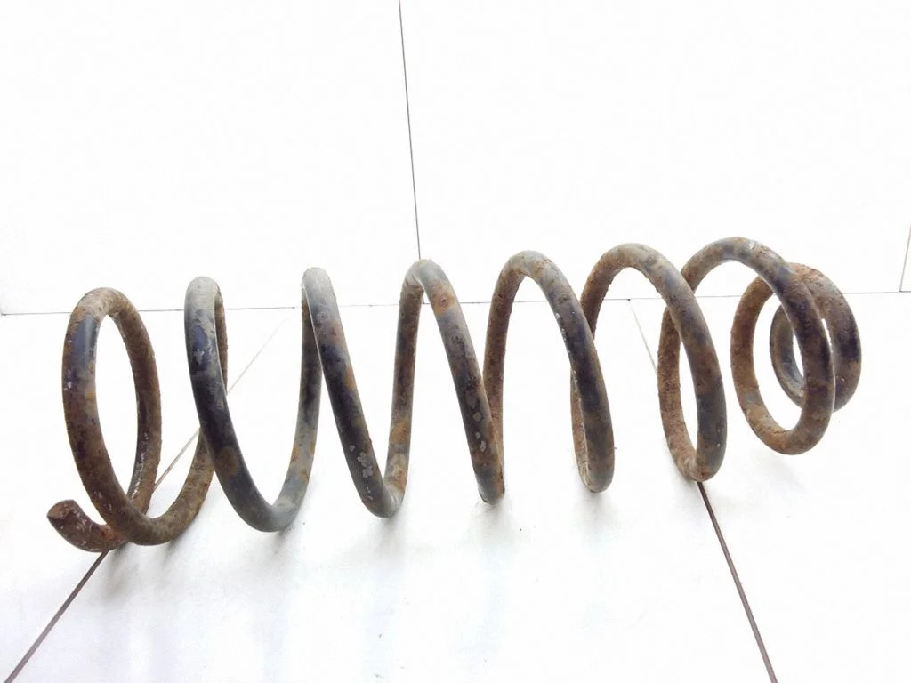 Rear coil spring