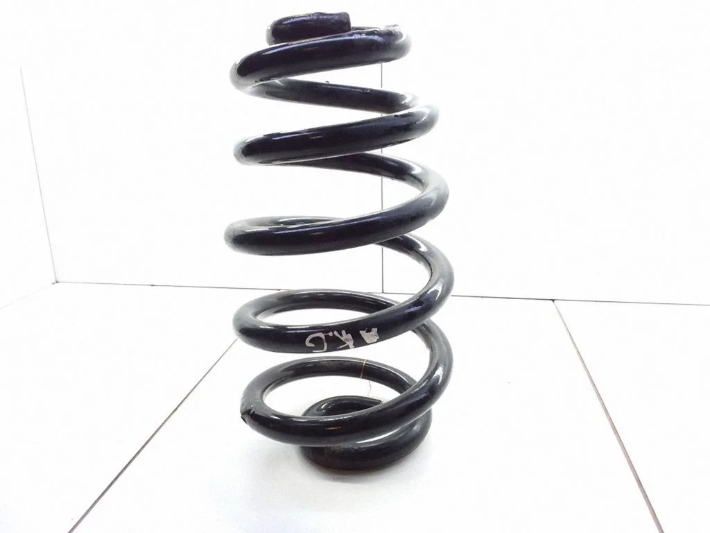 Rear coil spring