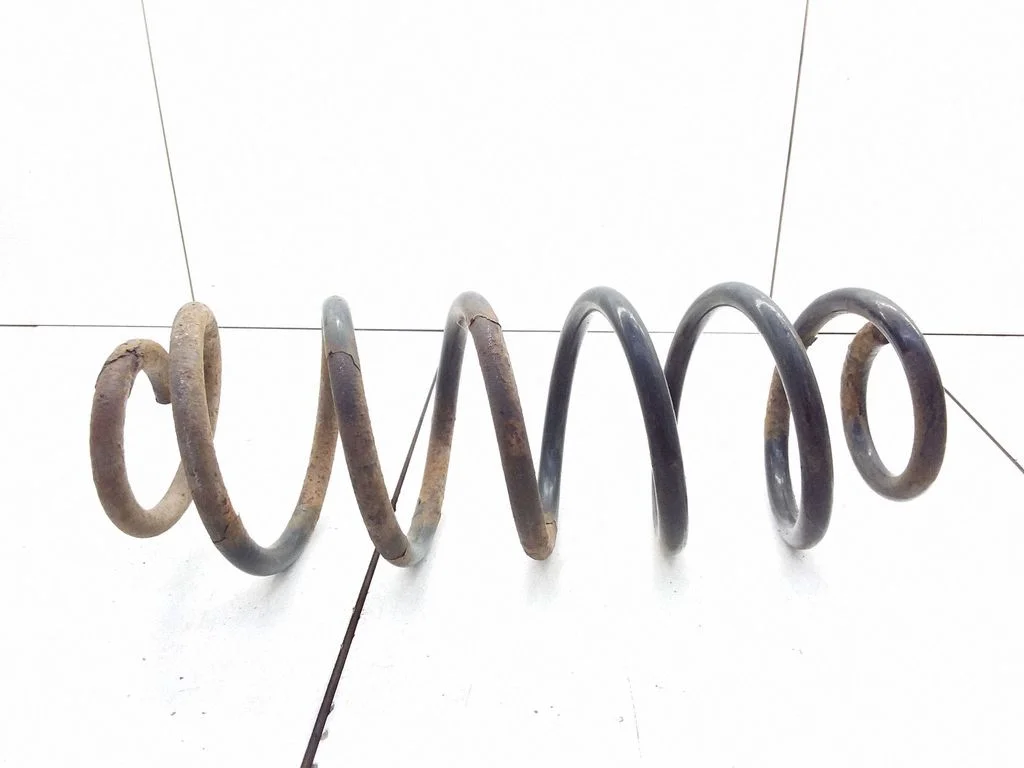 Rear coil spring