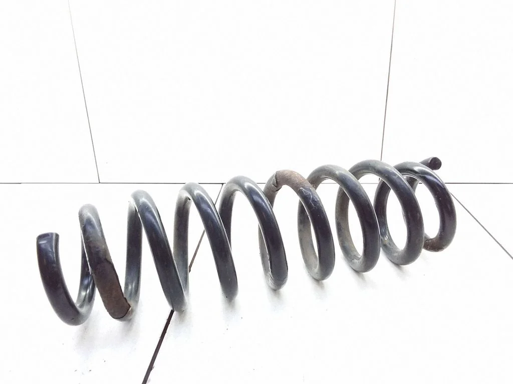 Rear coil spring