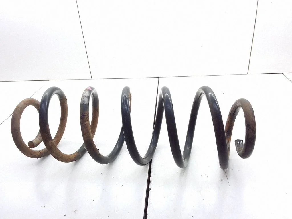 Rear coil spring