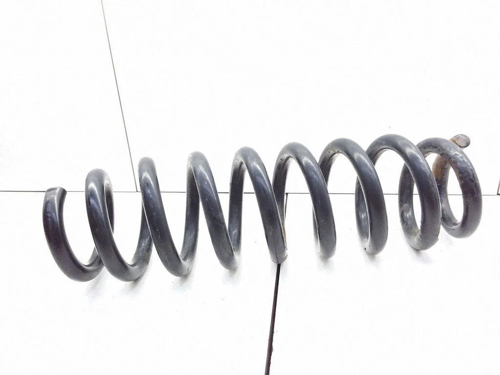 Rear coil spring