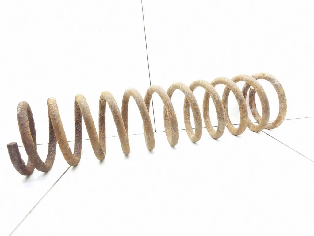 Rear coil spring