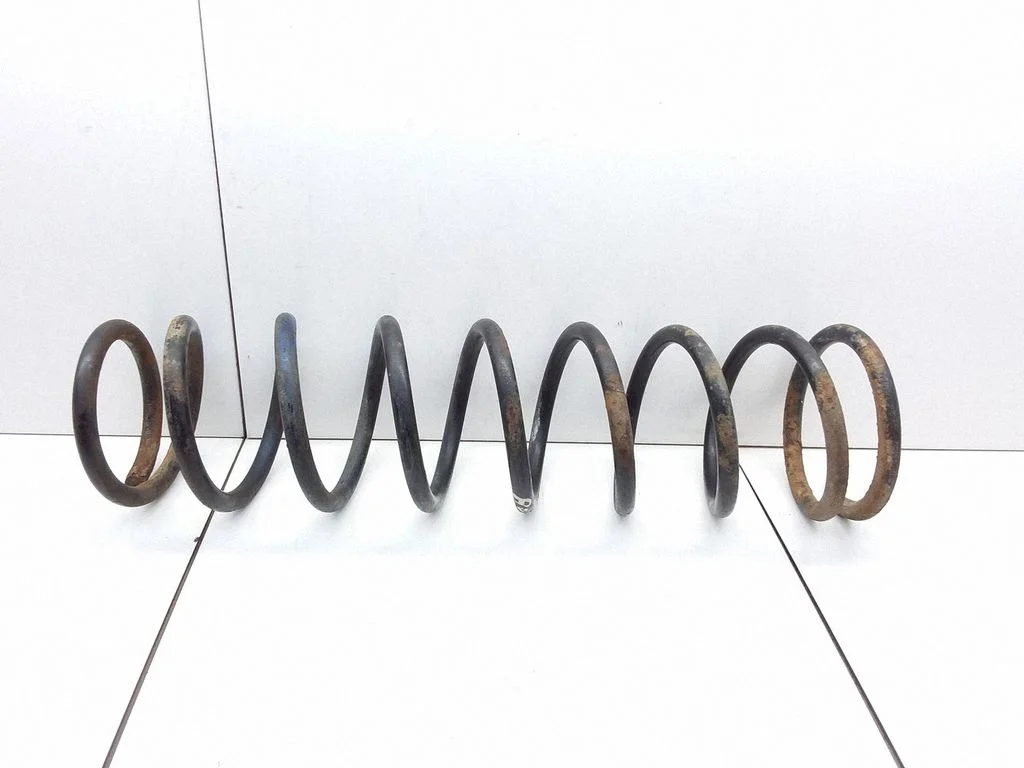 Rear coil spring