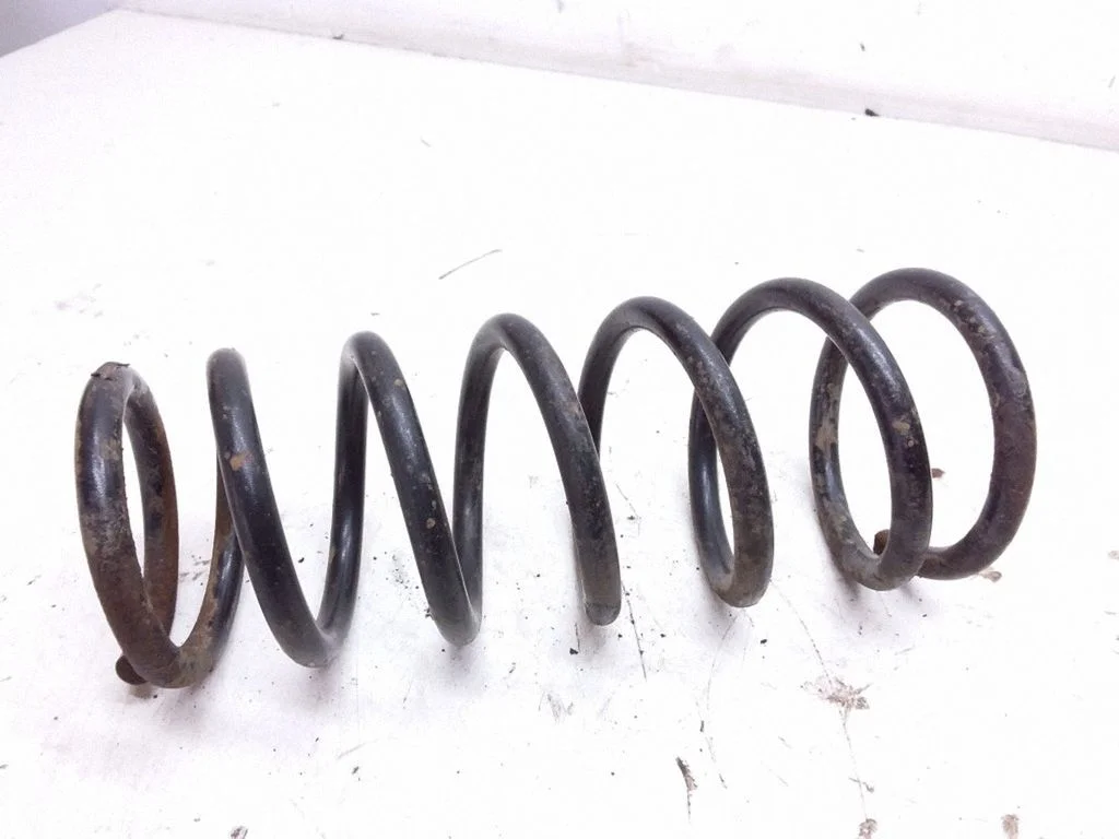 Rear coil spring