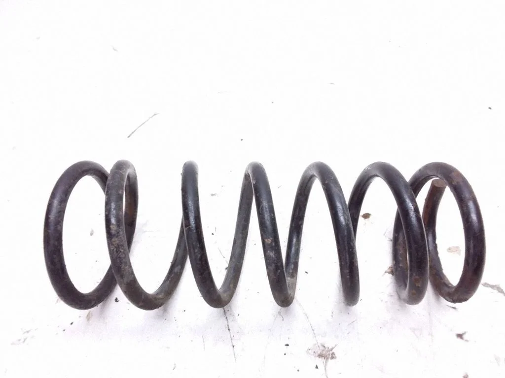 Rear coil spring