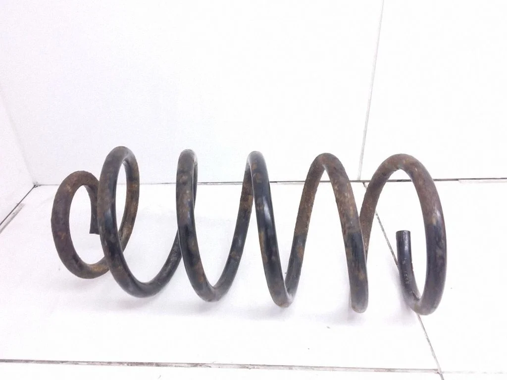 Rear coil spring