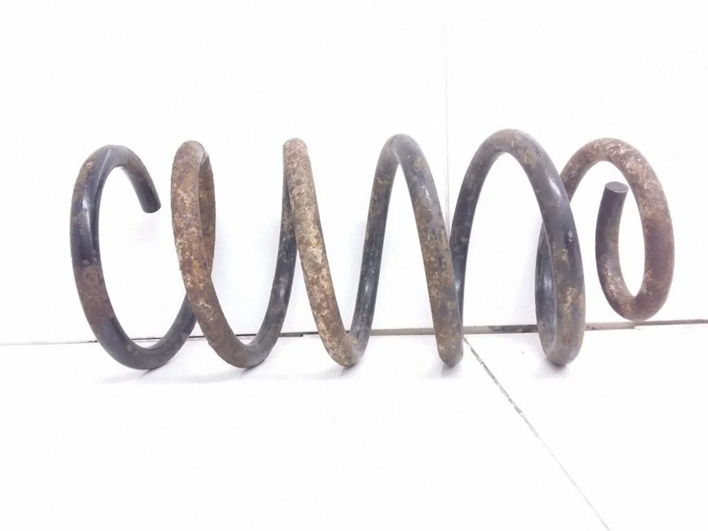 Rear coil spring
