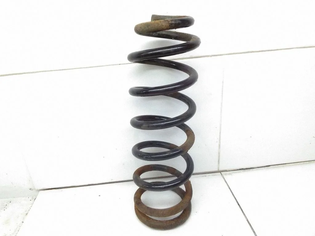 Rear coil spring