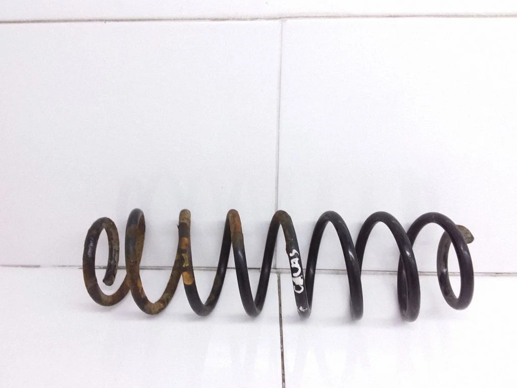 Rear coil spring