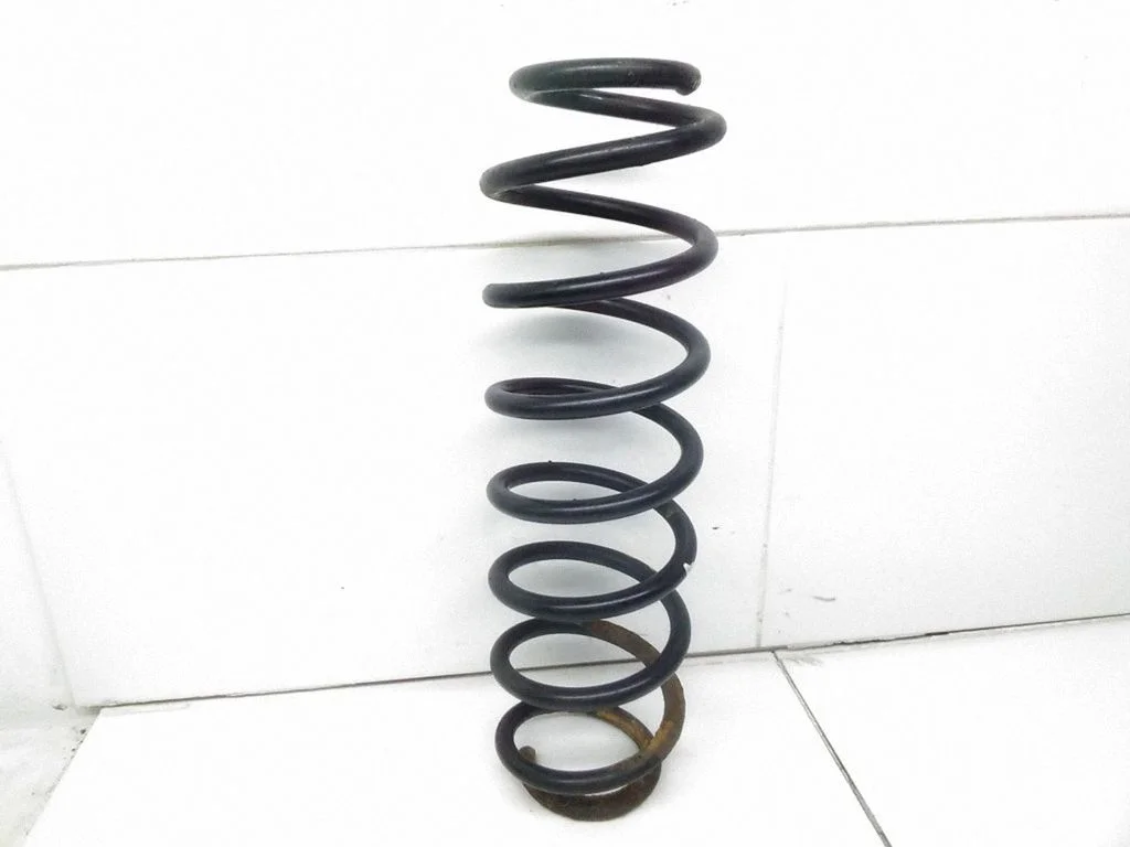 Rear coil spring