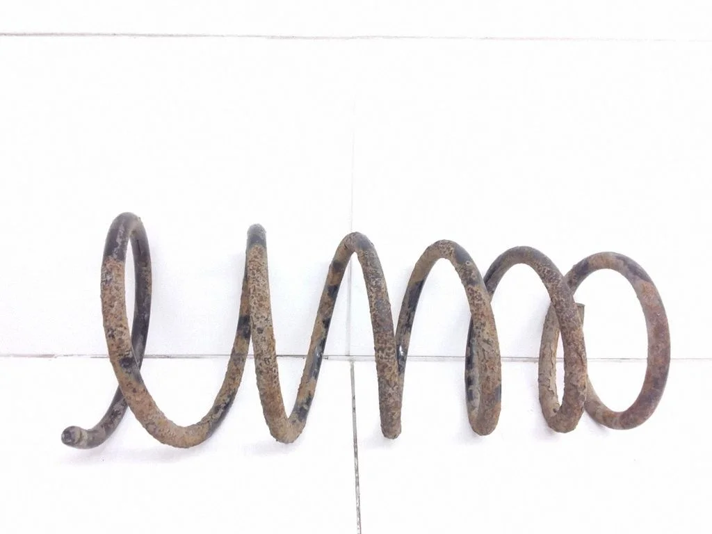 Rear coil spring