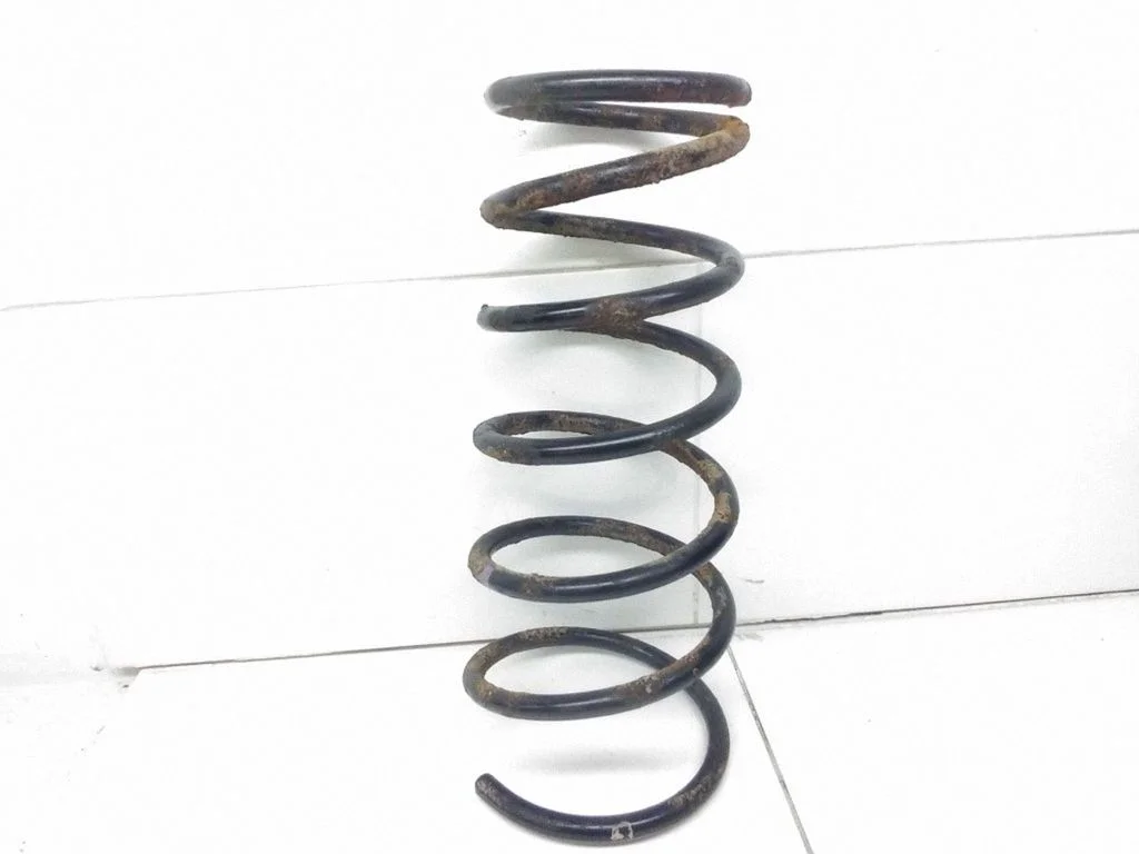 Rear coil spring